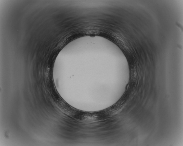 X0000096460263200802211133