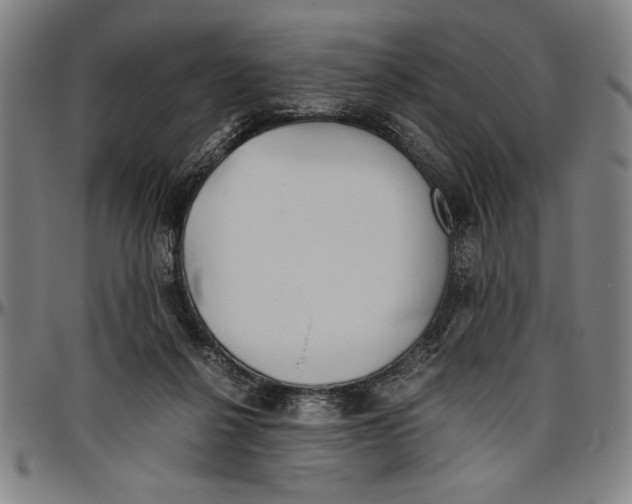 X0000096460264200802211133