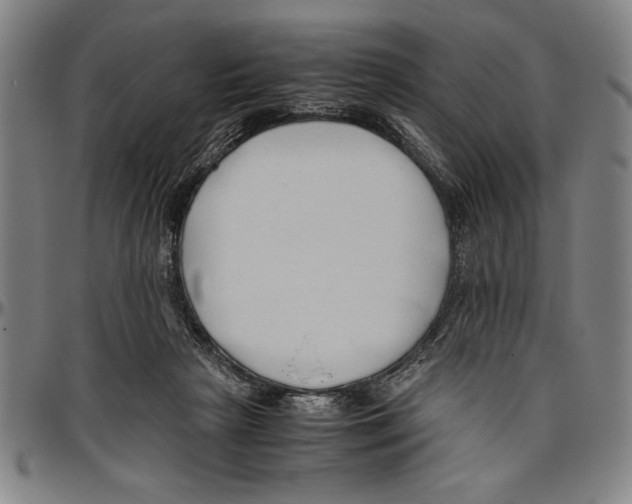 X0000096460265200802211133