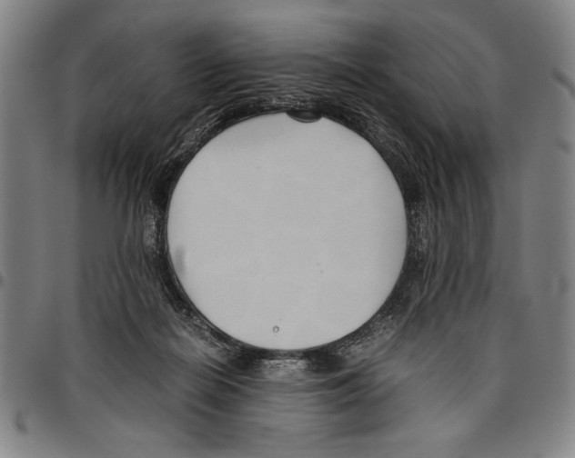 X0000096460266200802211133