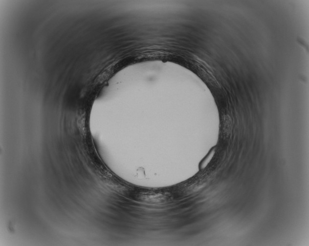 X0000096460267200802211133