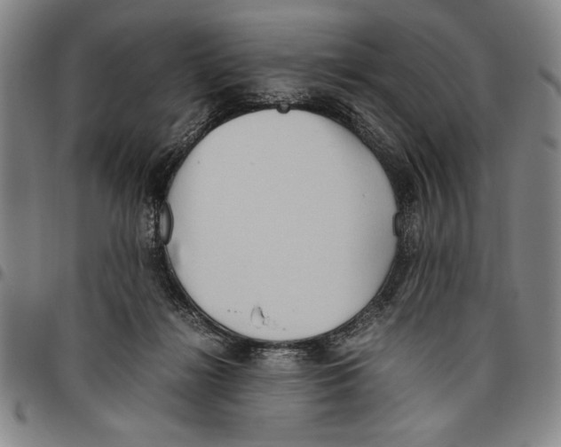 X0000096460268200802211133