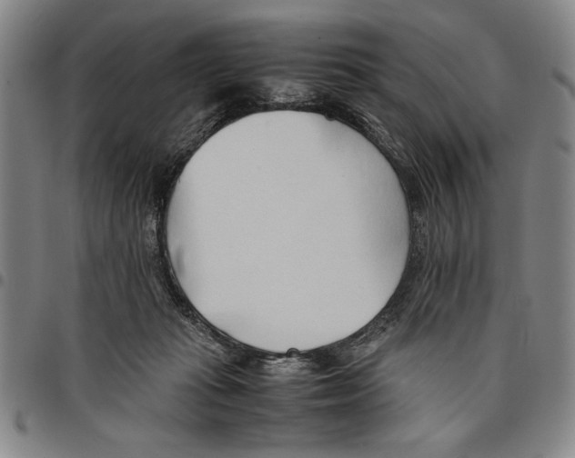 X0000096460269200802211133