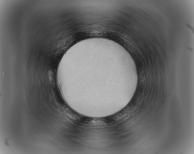 X0000096460270200802211133