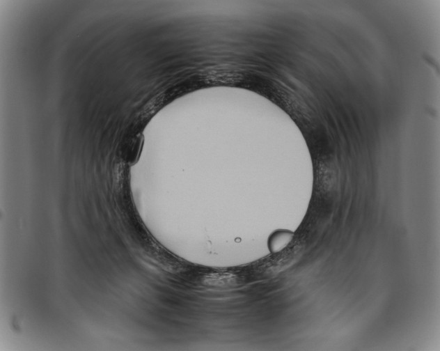 X0000096460271200802211133