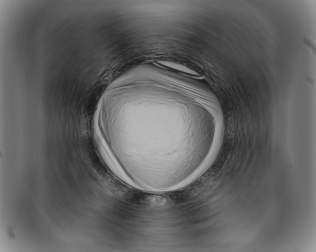 X0000096460272200802211133