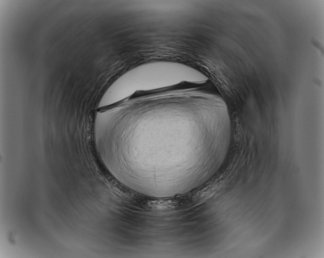 X0000096460273200802211133