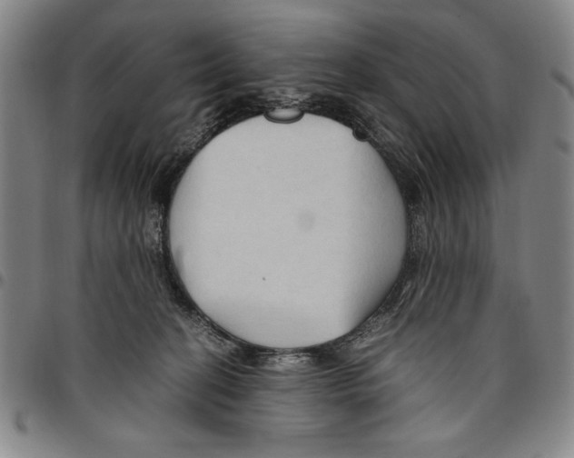 X0000096460274200802211133