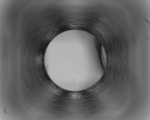 X0000096460275200802211133