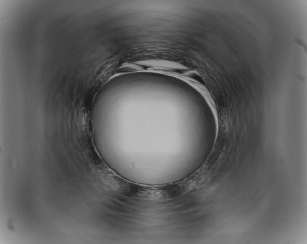 X0000096460276200802211133