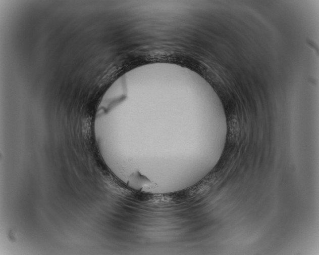 X0000096460278200802211133