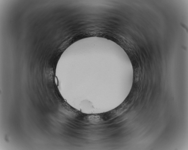 X0000096460279200802211133