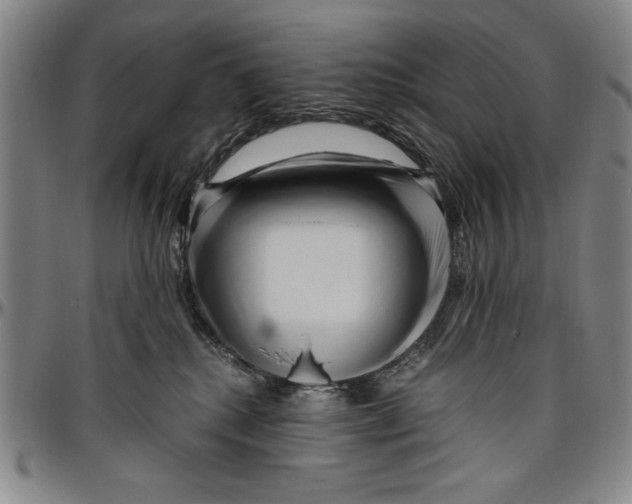 X0000096460280200802211133