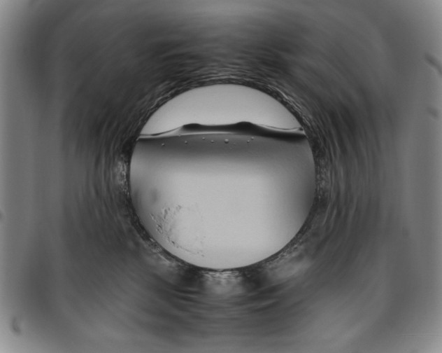 X0000096460281200802211133