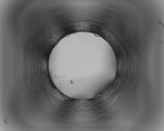 X0000096460282200802211133