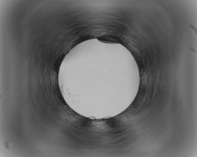 X0000096460283200802211133