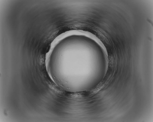 X0000096460284200802211133