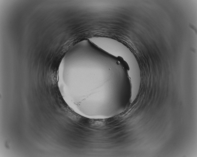 X0000096460285200802211133