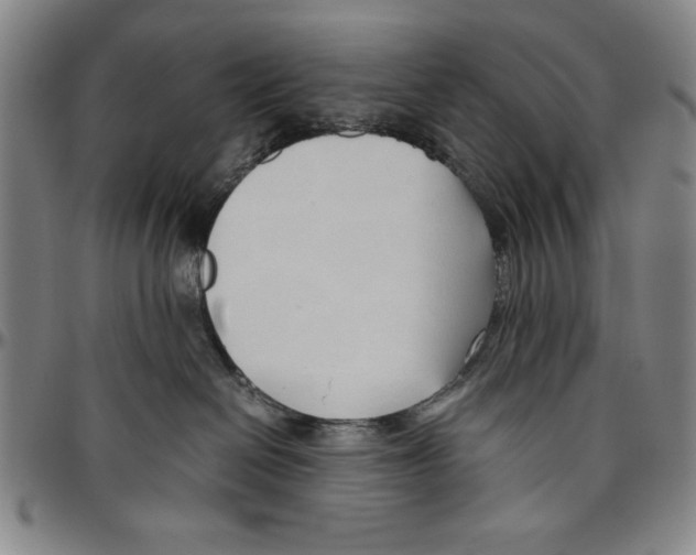 X0000096460286200802211133