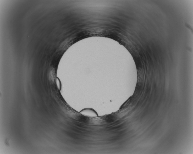 X0000096460287200802211133