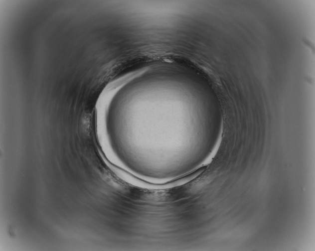 X0000096460288200802211133