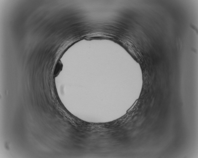 X0000096460289200802211132
