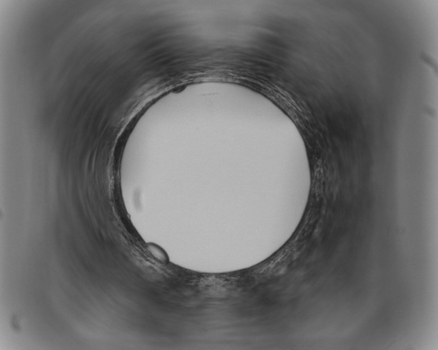 X0000096460290200802211132