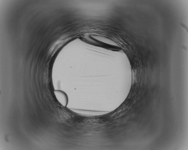 X0000096460291200802211132