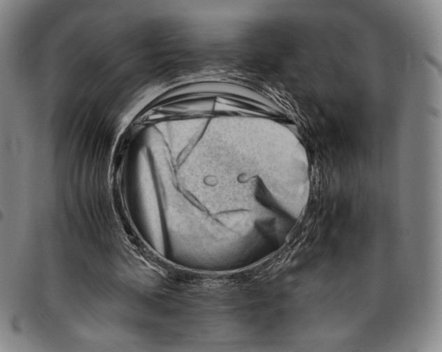 X0000096460292200802211132