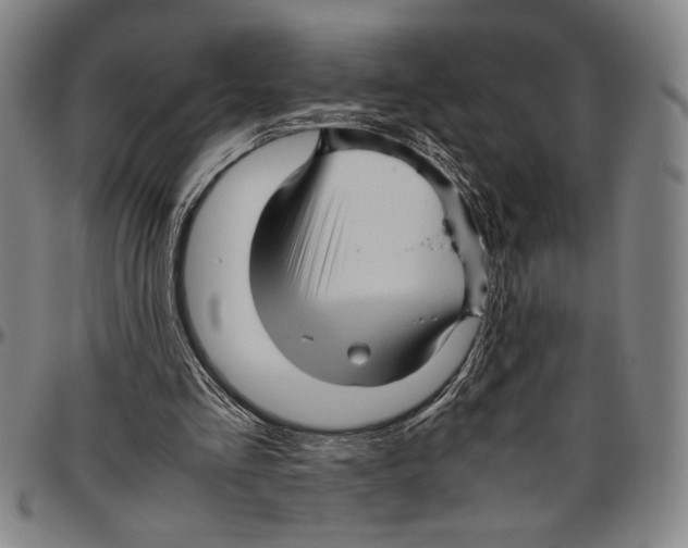 X0000096460293200802211132