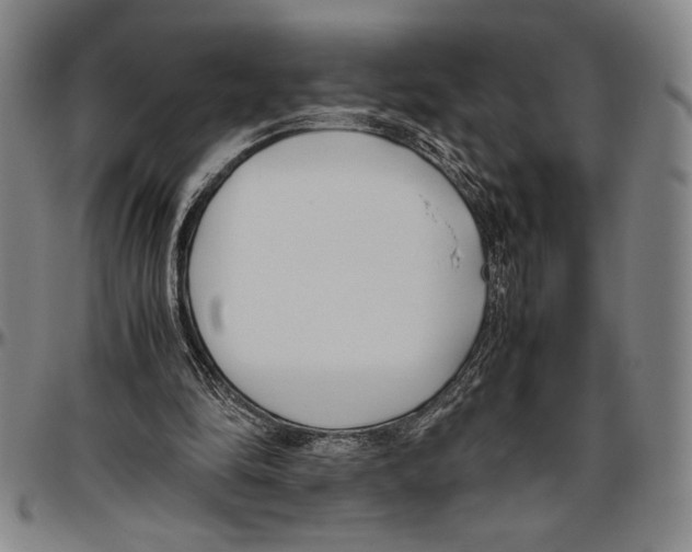 X0000096460294200802211132