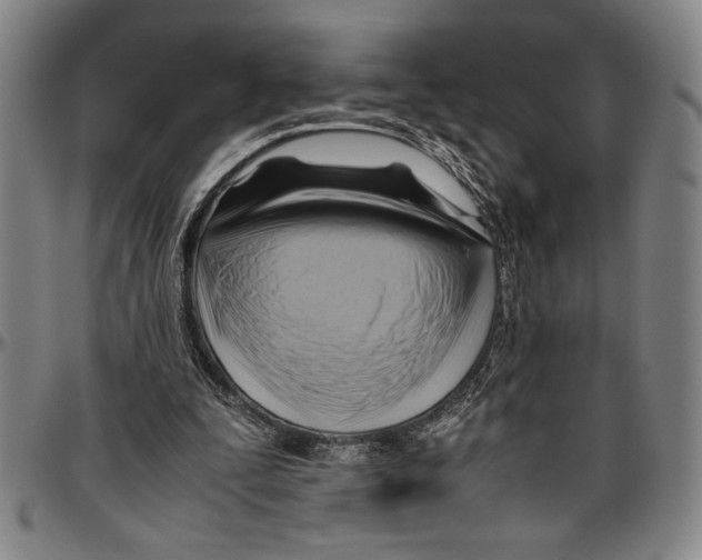 X0000096460295200802211132