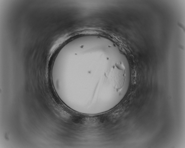 X0000096460296200802211132