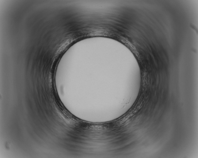 X0000096460298200802211132