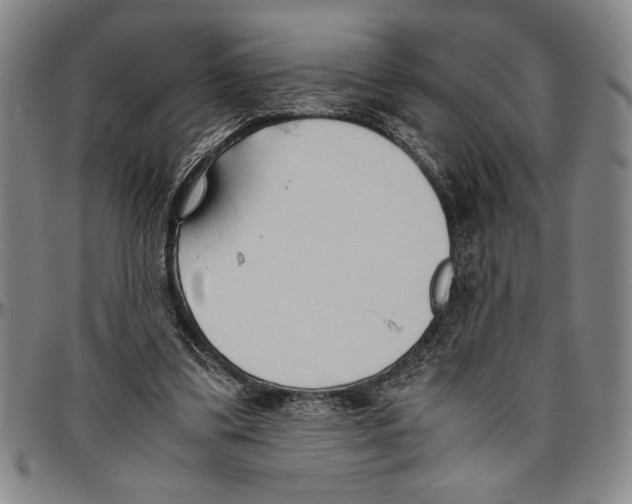 X0000096460299200802211132