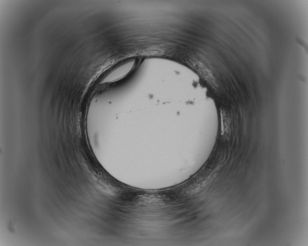 X0000096460300200802211132