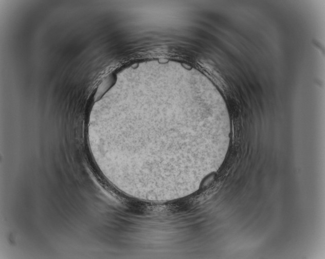 X0000096460301200802211132