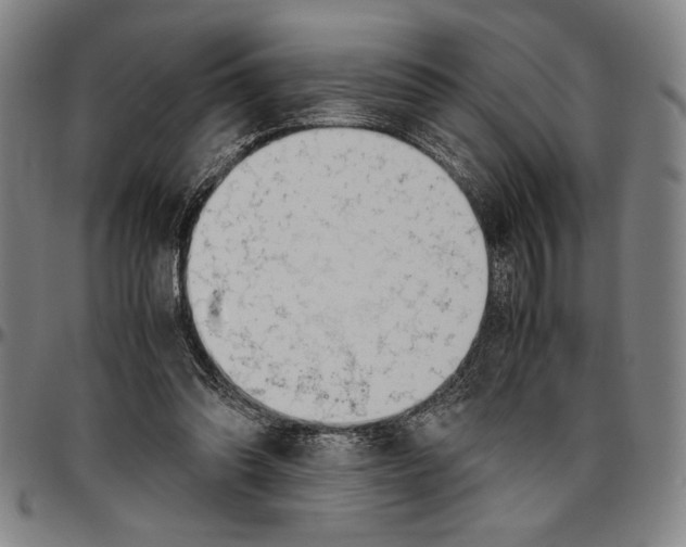 X0000096460302200802211132