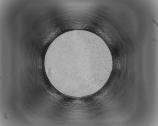 X0000096460303200802211132