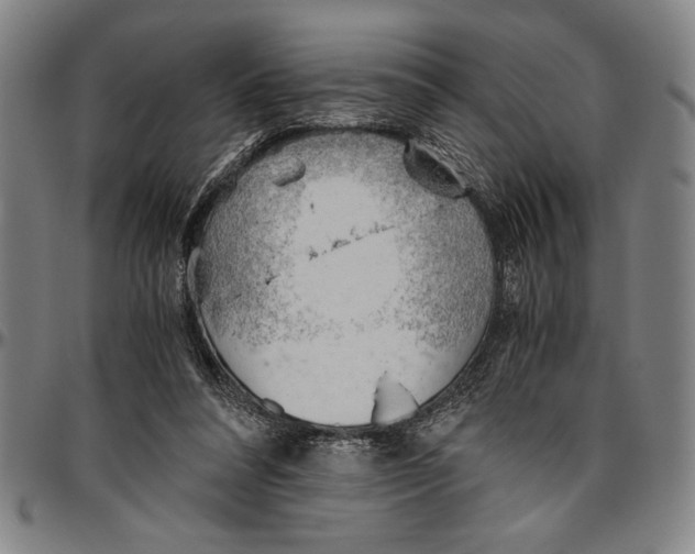 X0000096460304200802211132