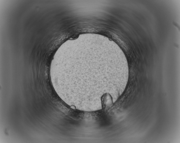 X0000096460305200802211132