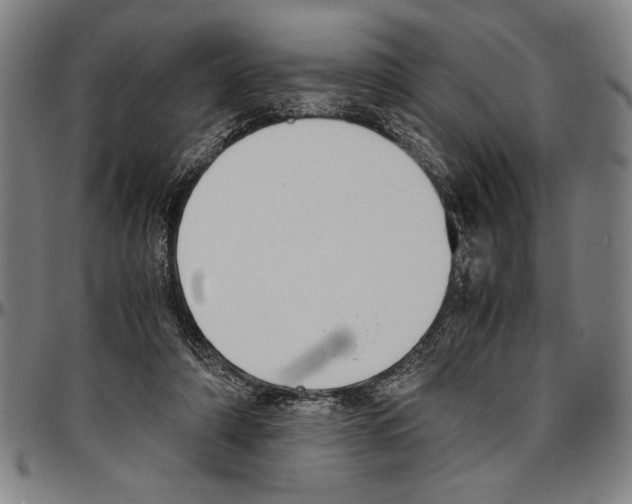 X0000096460306200802211132