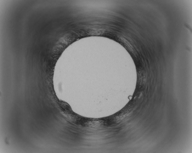 X0000096460307200802211132