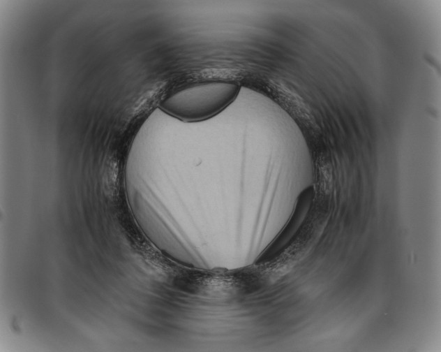 X0000096460308200802211132