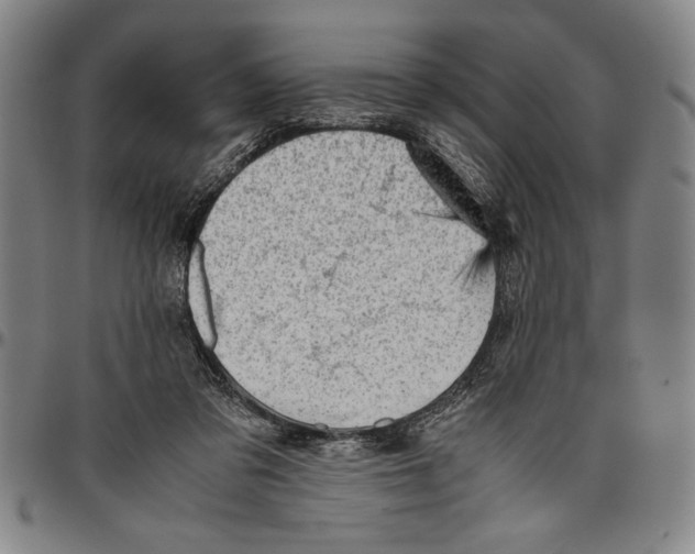 X0000096460309200802211132