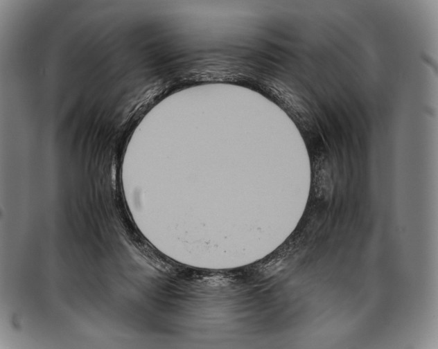 X0000096460310200802211132