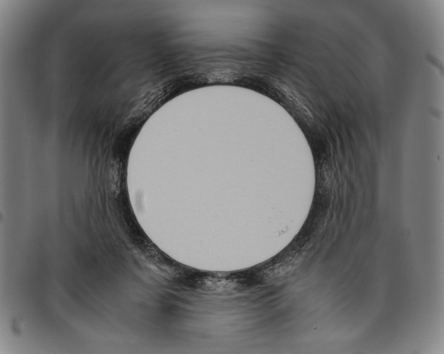 X0000096460311200802211132