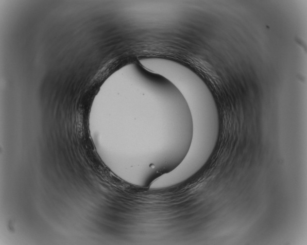 X0000096460312200802211132