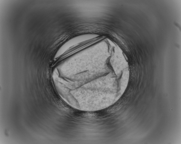 X0000096460313200802211132
