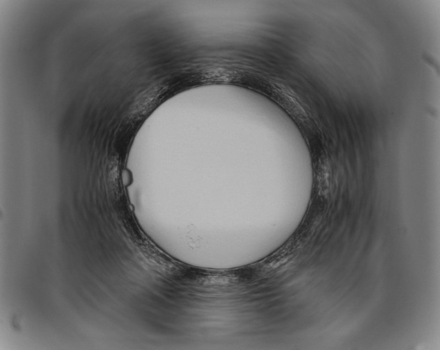 X0000096460314200802211132